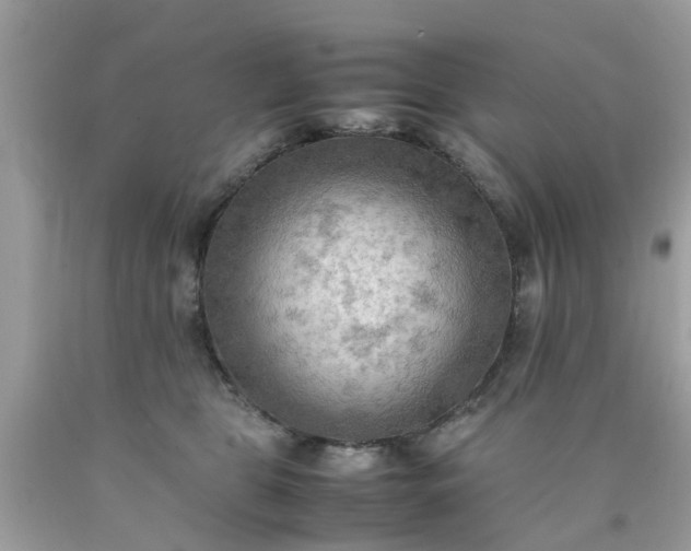 X0000090430469200707272135