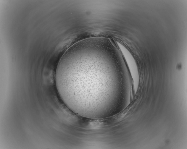 X0000090430470200707272135