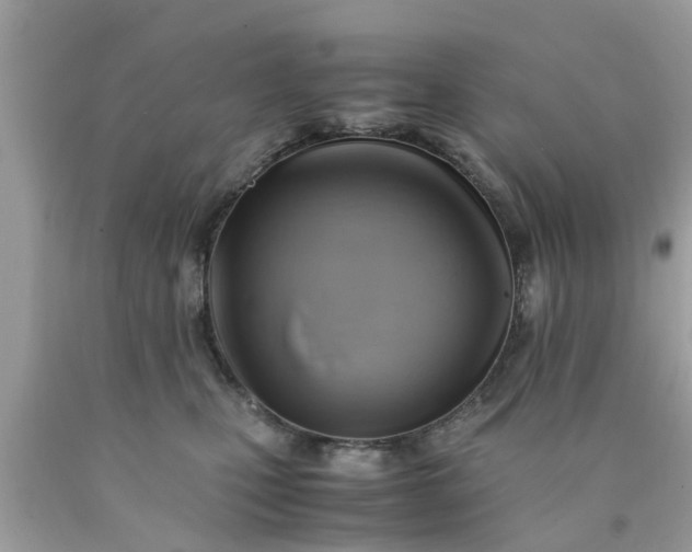 X0000090430471200707272135