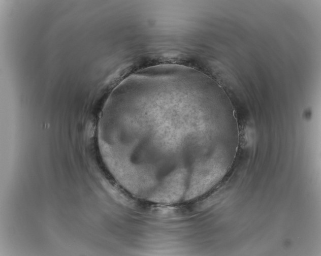 X0000090430472200707272135