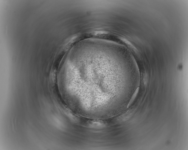 X0000090430475200707272135