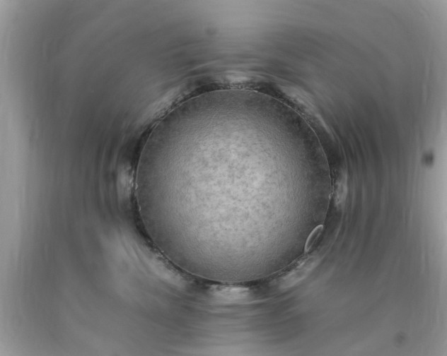 X0000090430476200707272135