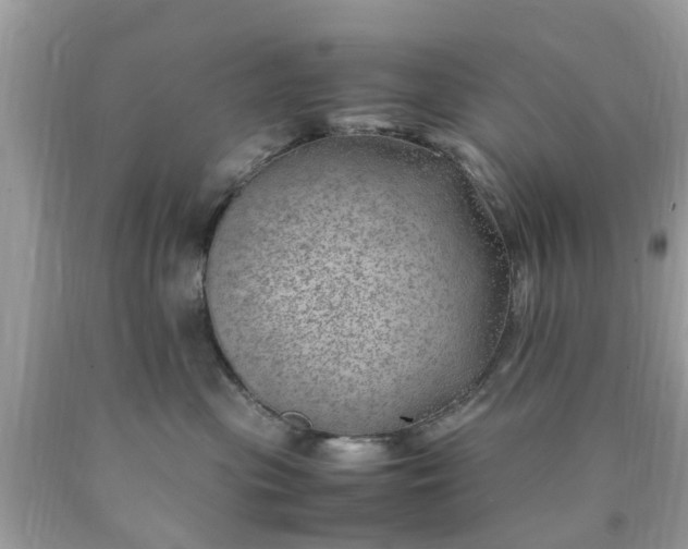 X0000090430477200707272135