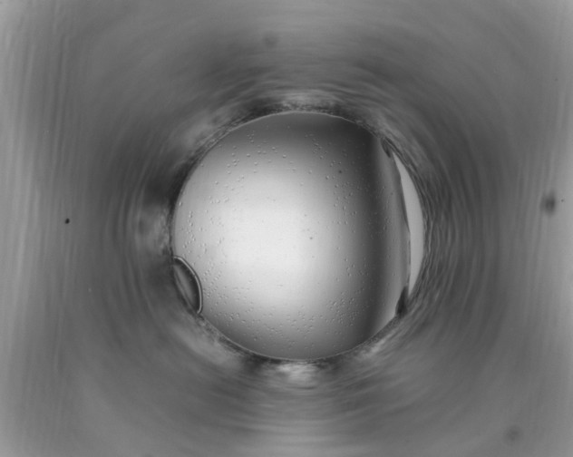 X0000090430478200707272135