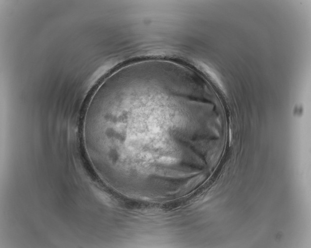 X0000090430483200707272135