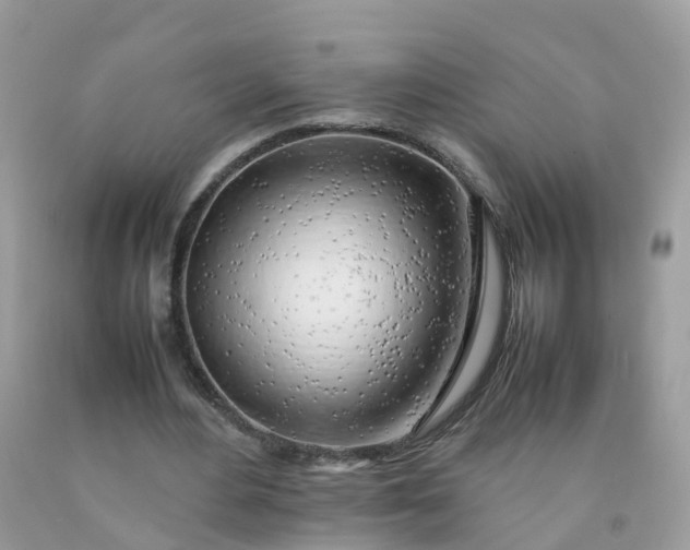 X0000090430484200707272135