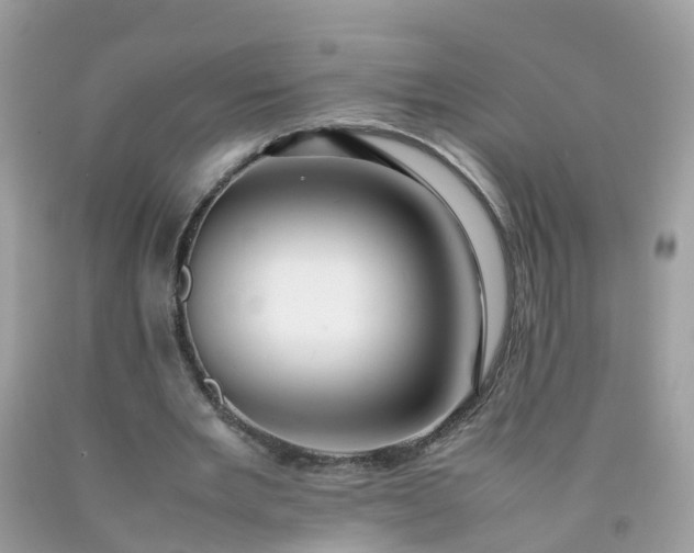 X0000090430485200707272135