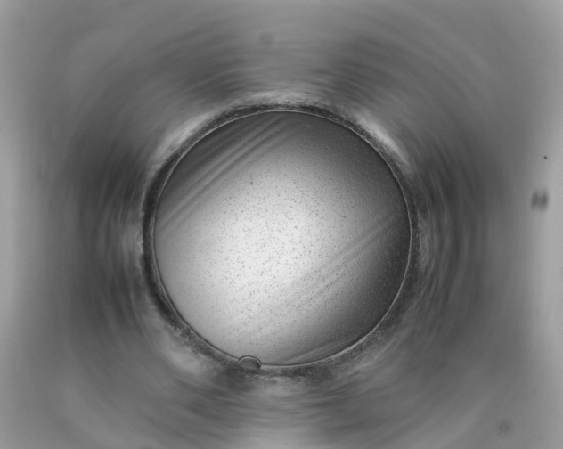 X0000090430486200707272135