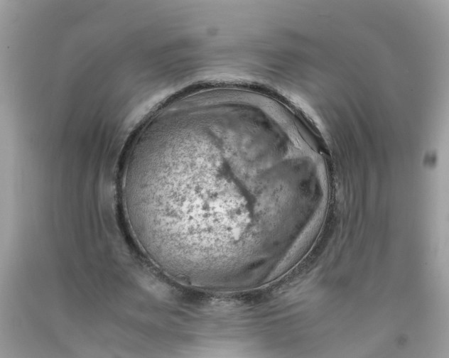 X0000090430487200707272135