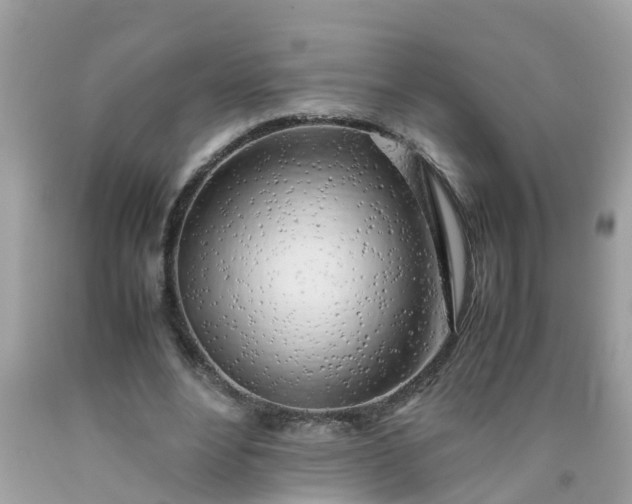 X0000090430488200707272135