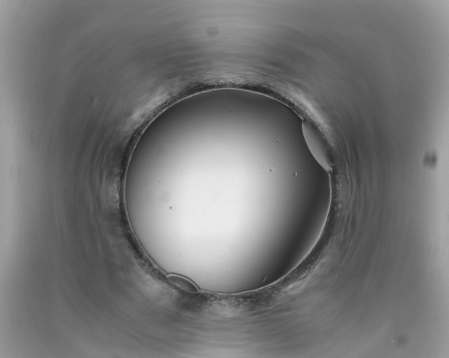 X0000090430489200707272135