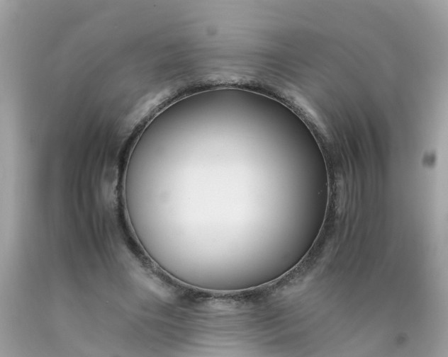 X0000090430490200707272135