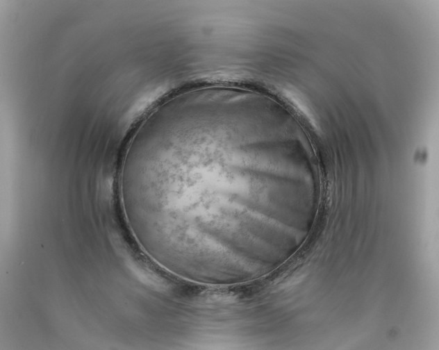 X0000090430491200707272135