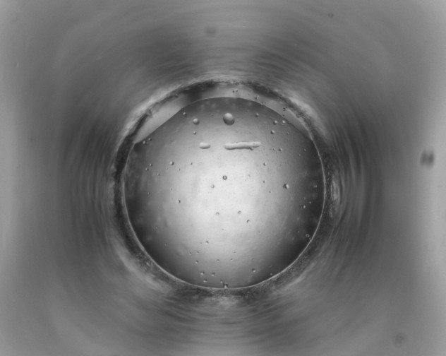 X0000090430492200707272135