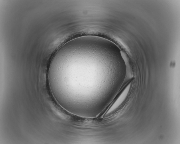 X0000090430493200707272135