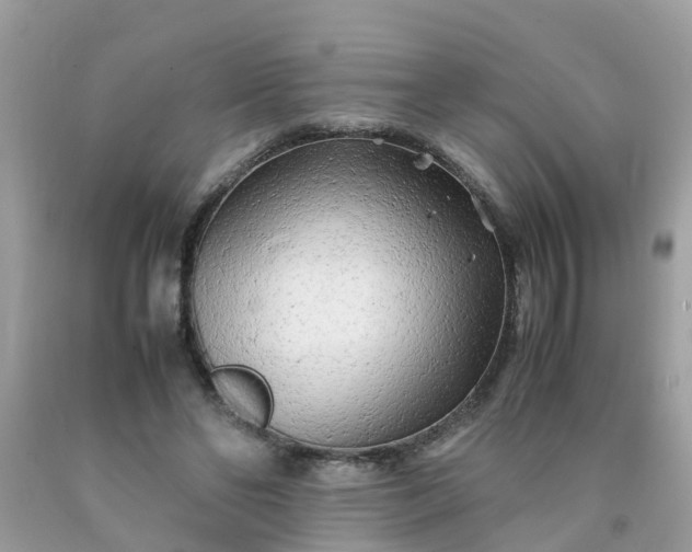 X0000090430494200707272135