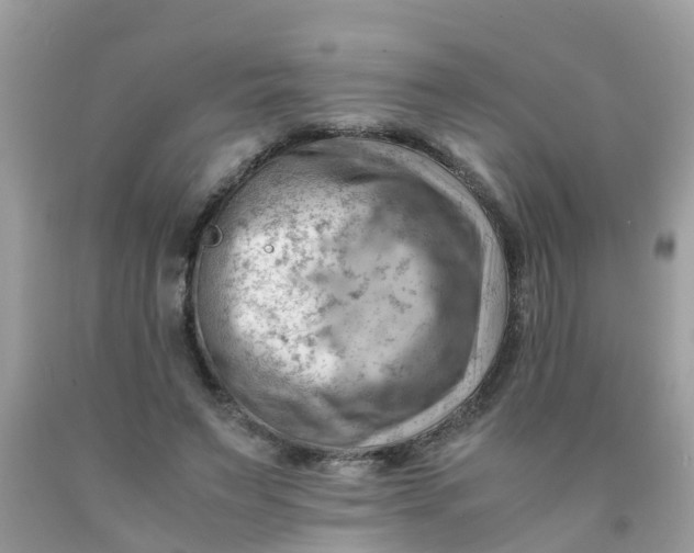 X0000090430495200707272135