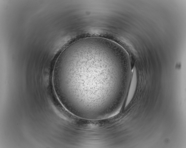 X0000090430496200707272135