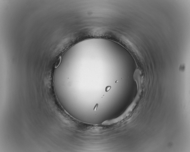 X0000090430497200707272134