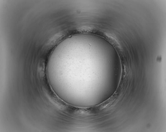 X0000090430498200707272134