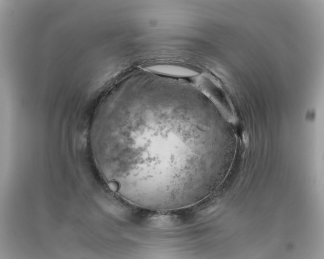 X0000090430499200707272134