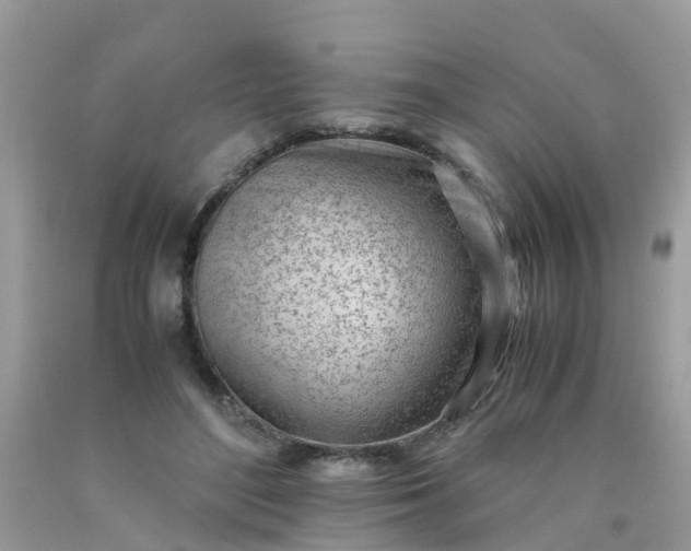 X0000090430500200707272134