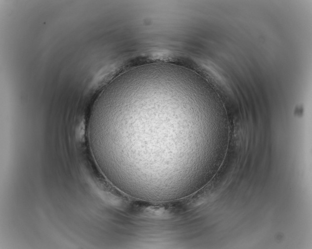 X0000090430502200707272134