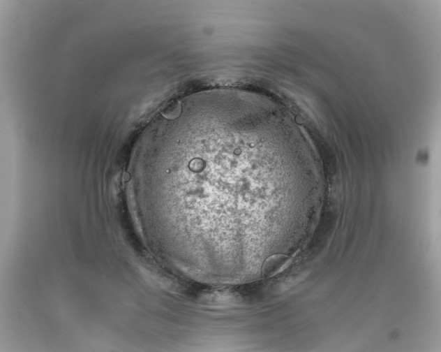 X0000090430503200707272134