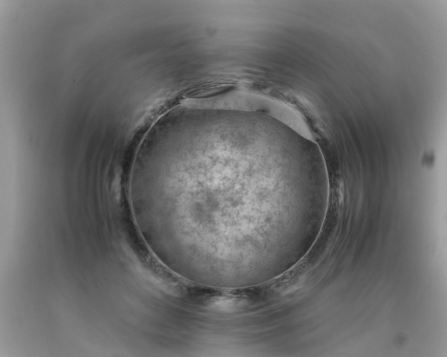 X0000090430504200707272134