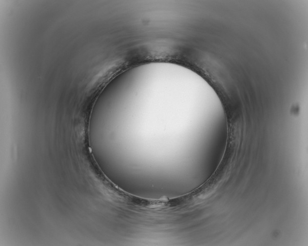 X0000090430505200707272134