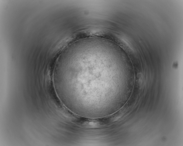 X0000090430506200707272134