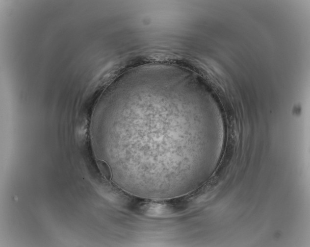 X0000090430507200707272134