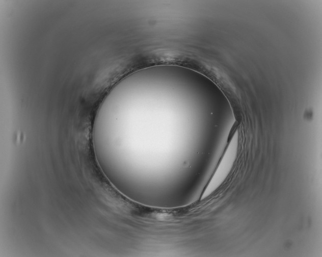 X0000090430509200707272134