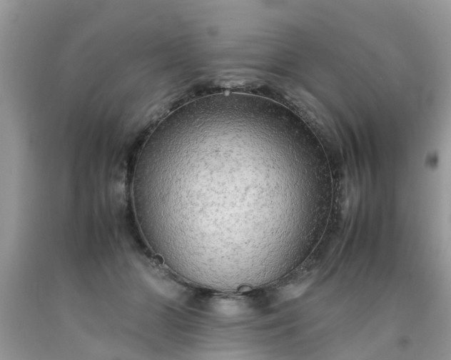 X0000090430510200707272134