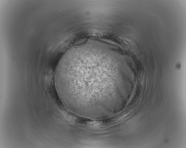 X0000090430511200707272134