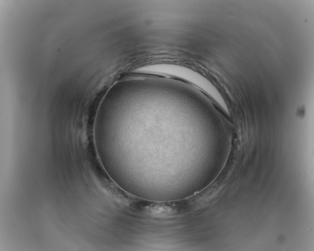 X0000090430512200707272134