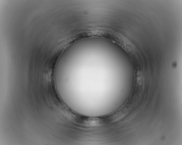 X0000090430514200707272134