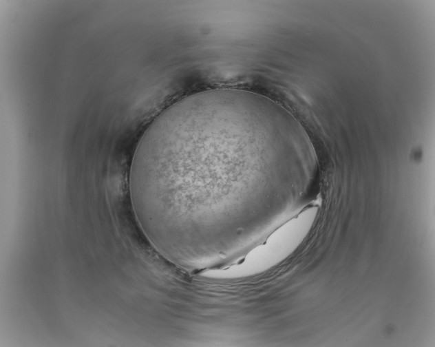 X0000090430515200707272134