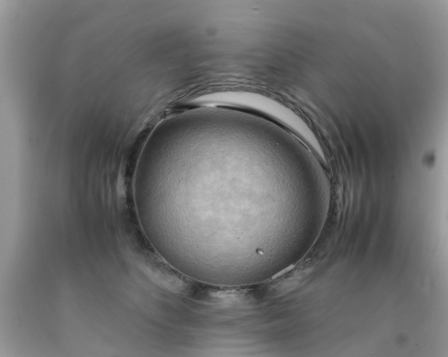 X0000090430516200707272134