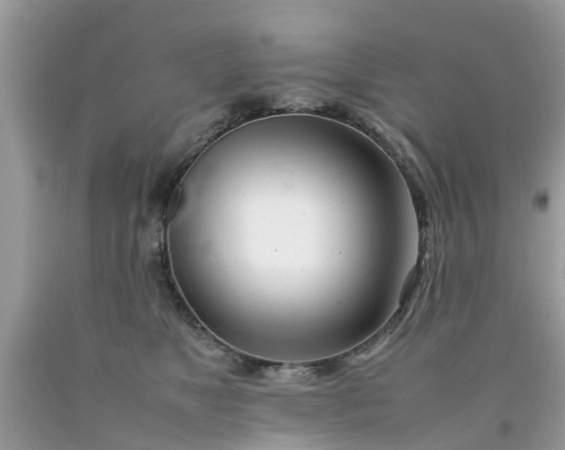 X0000090430517200707272134