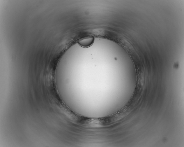 X0000090430518200707272134