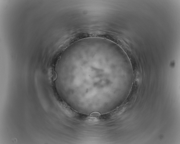 X0000090430519200707272134