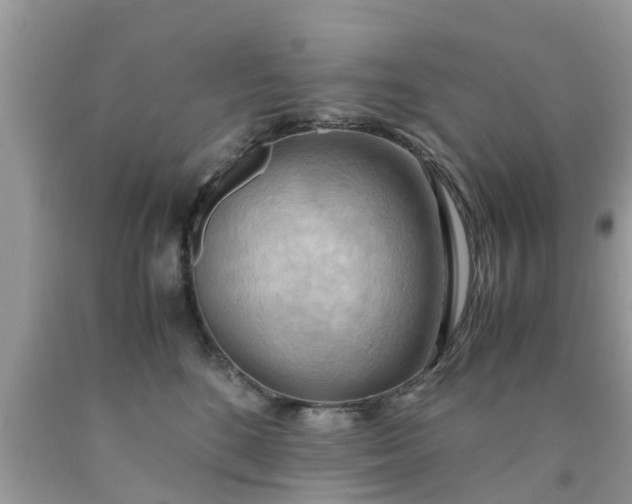 X0000090430520200707272134