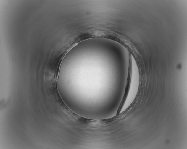 X0000090430521200707272134