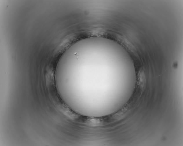 X0000090430522200707272134