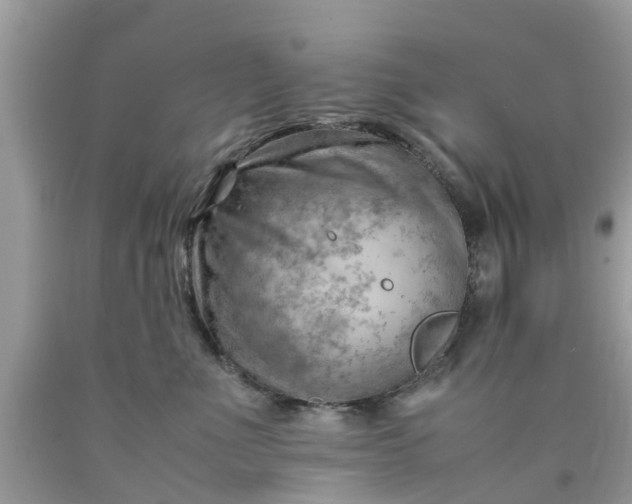 X0000090430523200707272134