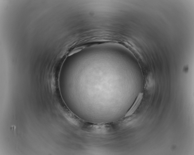 X0000090430524200707272134