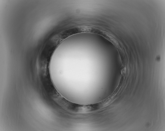 X0000090430525200707272134