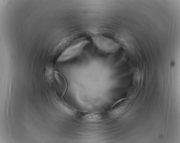 X0000090430526200707272134