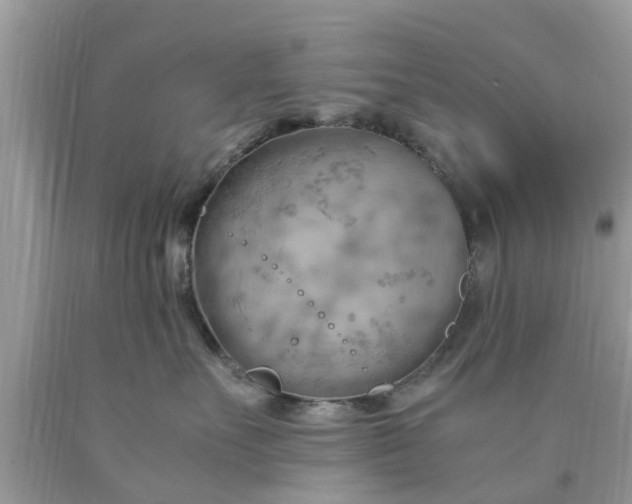 X0000090430527200707272134